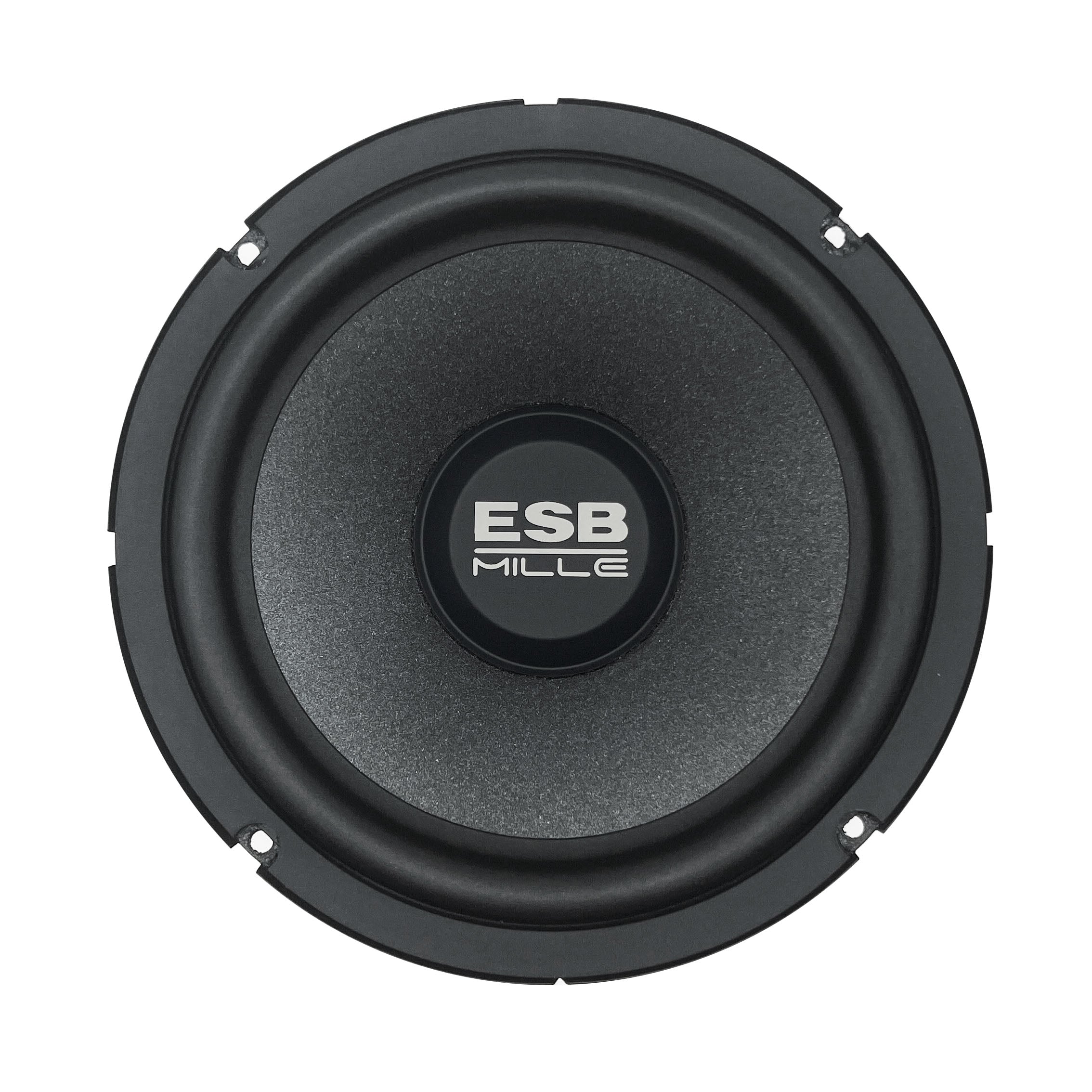 ESB Audio 1.6K2X 2-way speaker system jakosuodin mukana valmis paketti