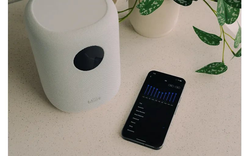 Wiim Sound Smart Speaker