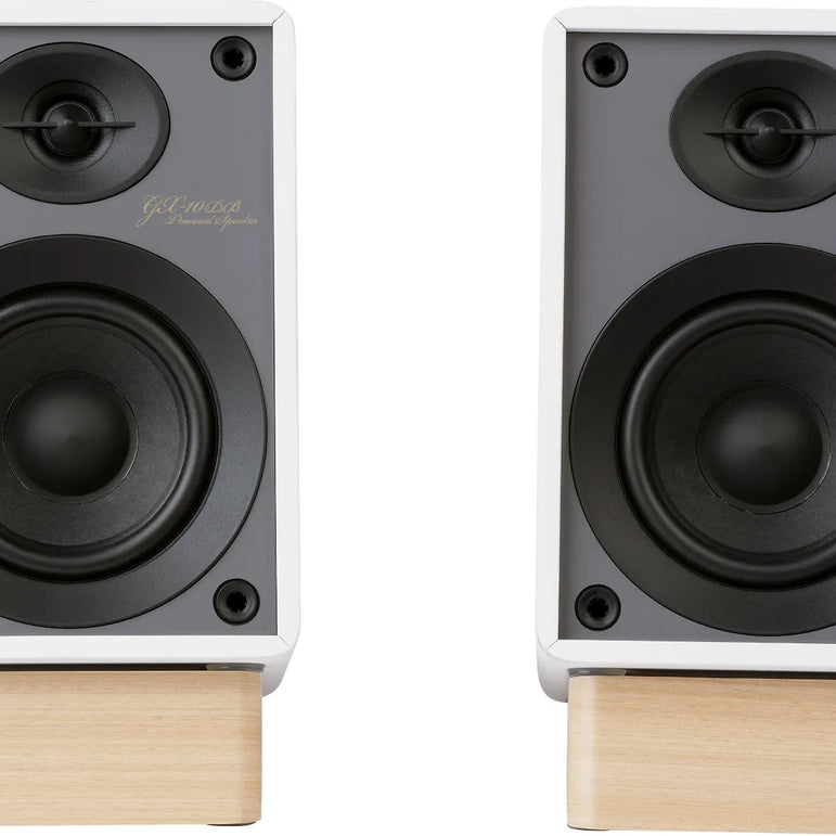 Onkyo GX-10DB active speaker pair