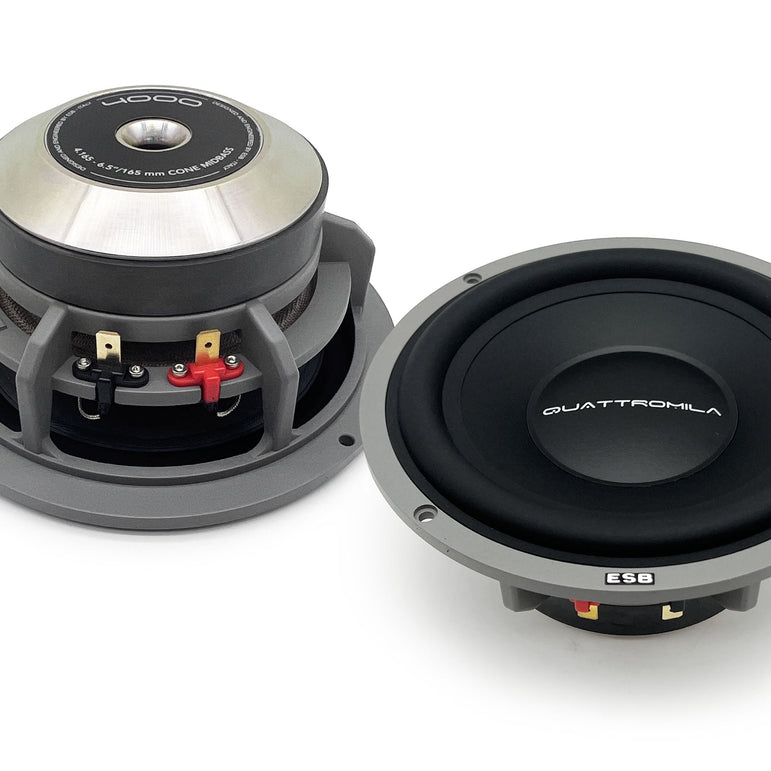 ESB Audio 4.165 6.5"/165 mm Woofer (pair)