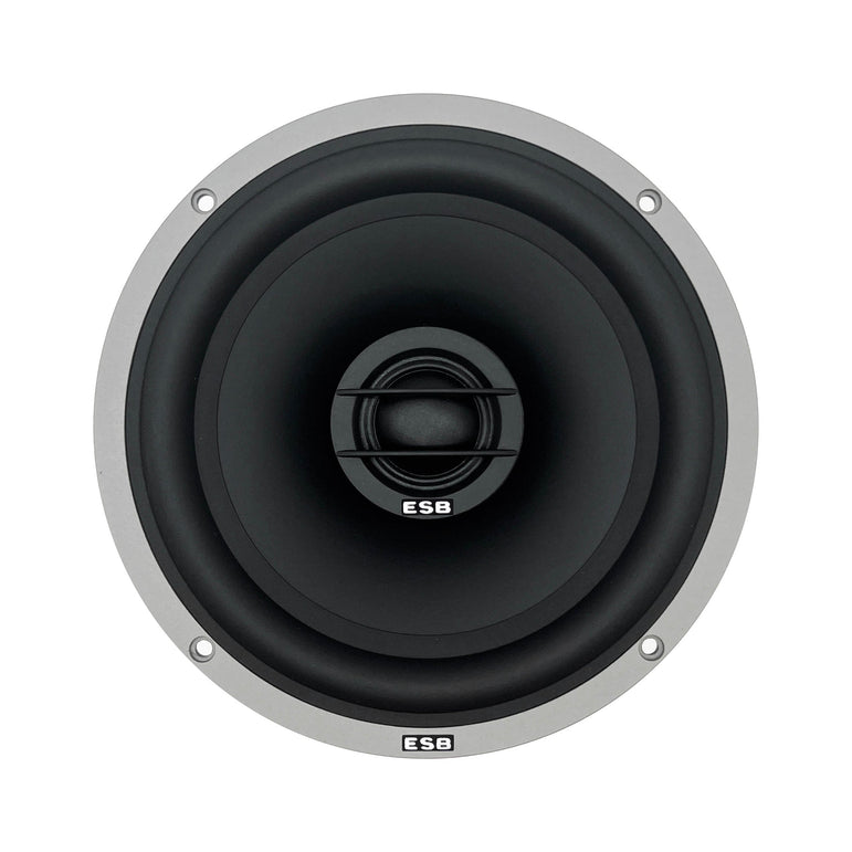ESB Audio 4.6C koaksiaali takanäkymä, CNC-työstetty teräksestä valmistettu suojaritilä