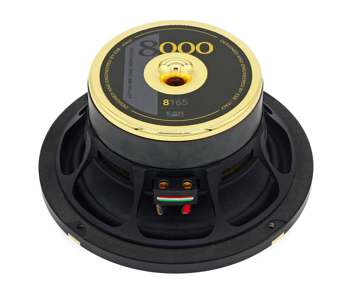 ESB Audio 8.165 selluloosamassakartio eksponentiaalinen 165mm