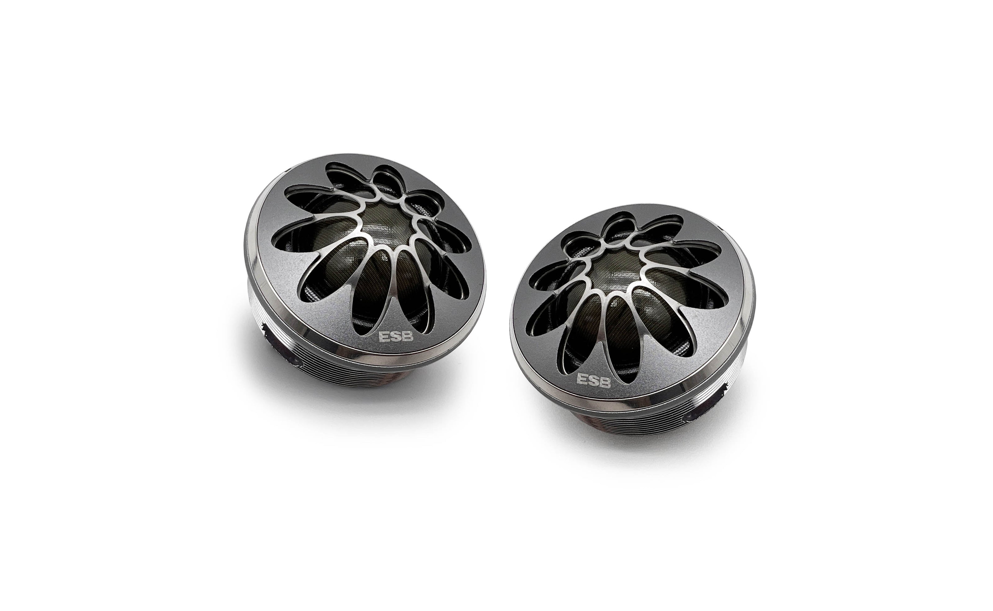 ESB Audio 9.1T-25 1