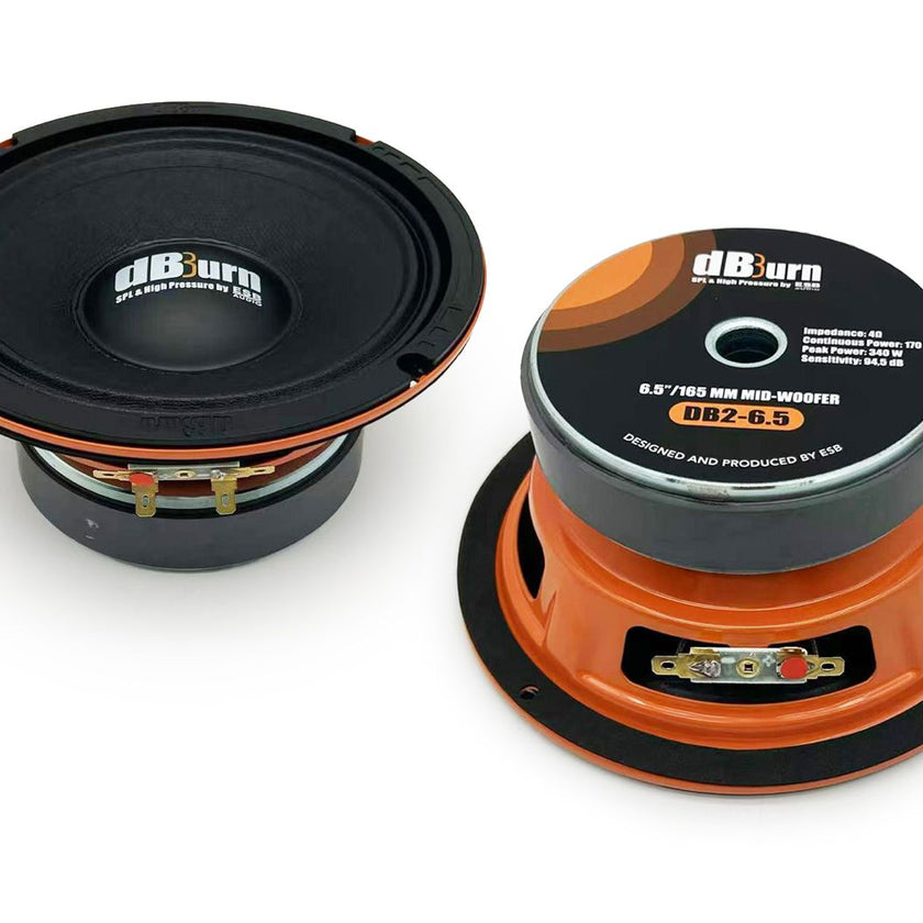 ESB Audio dBBurn 6.5"/165 mm Midbass (1 pc)