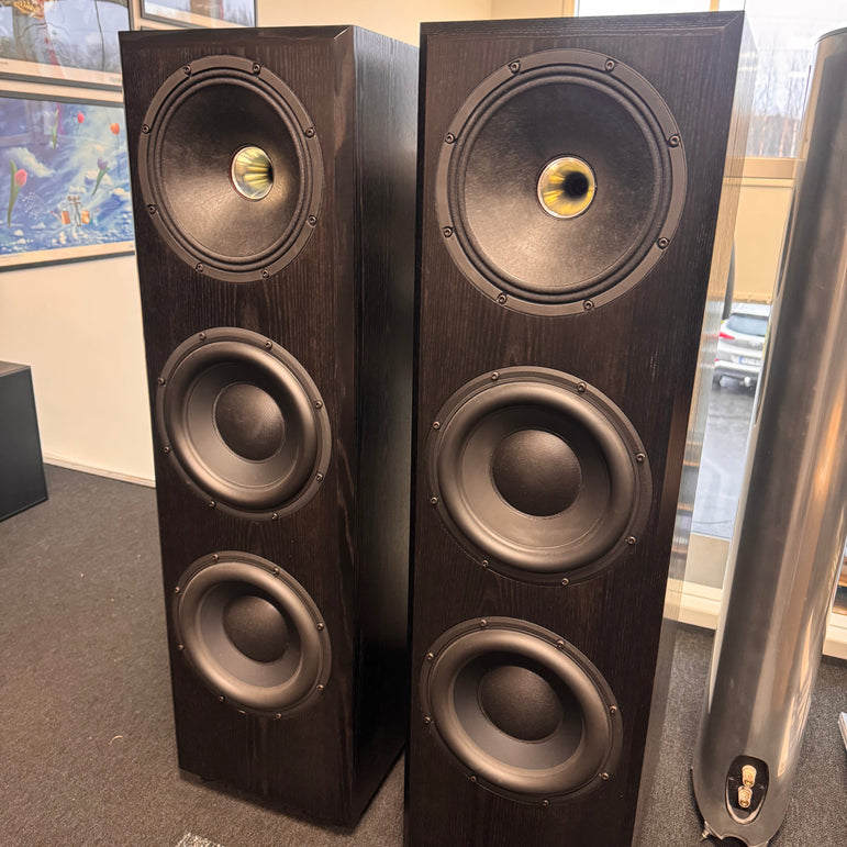 Taipuu Speakers Custom 3x10"+Compressor