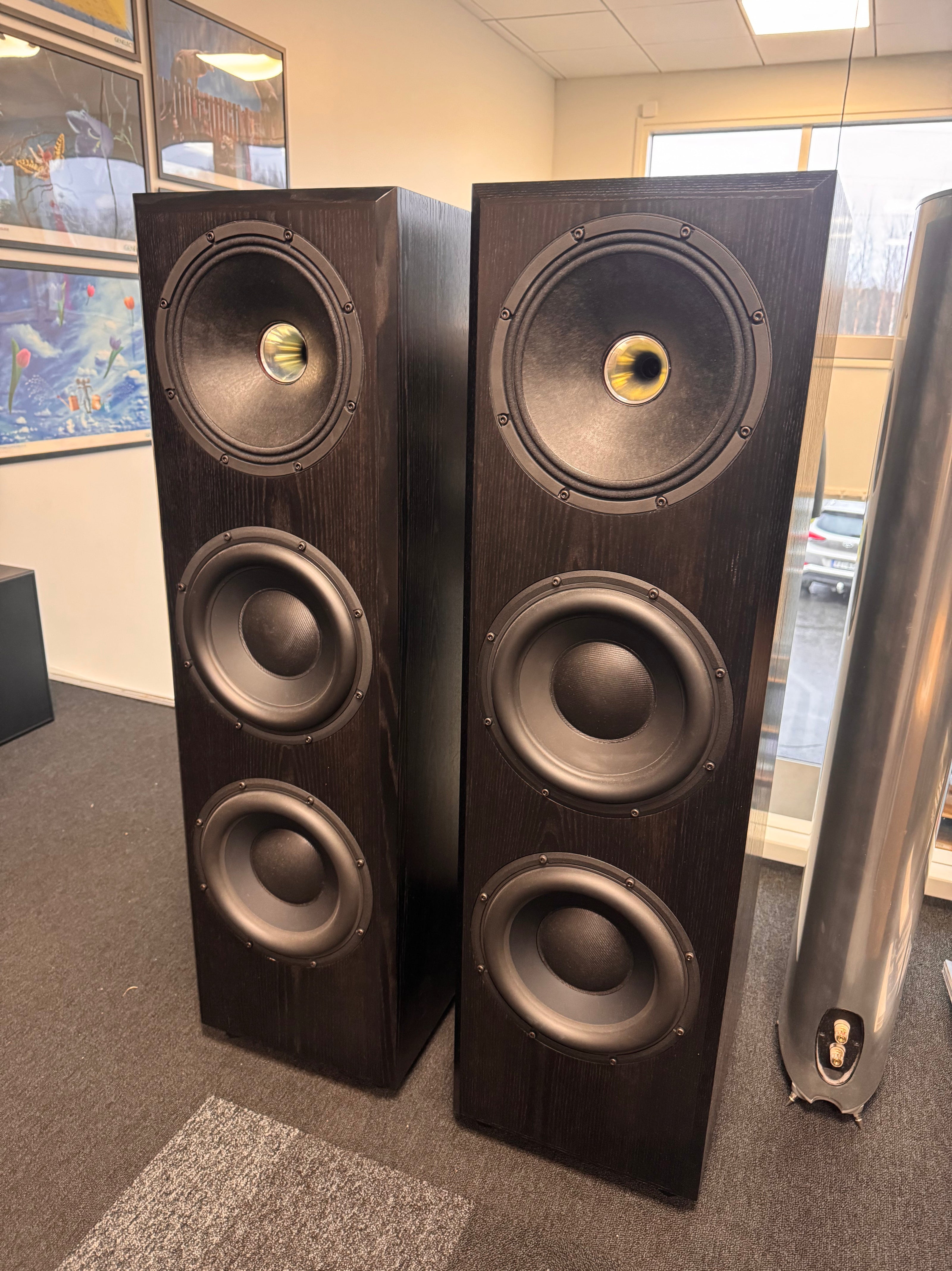 Taipuu Speakers Custom 3x10