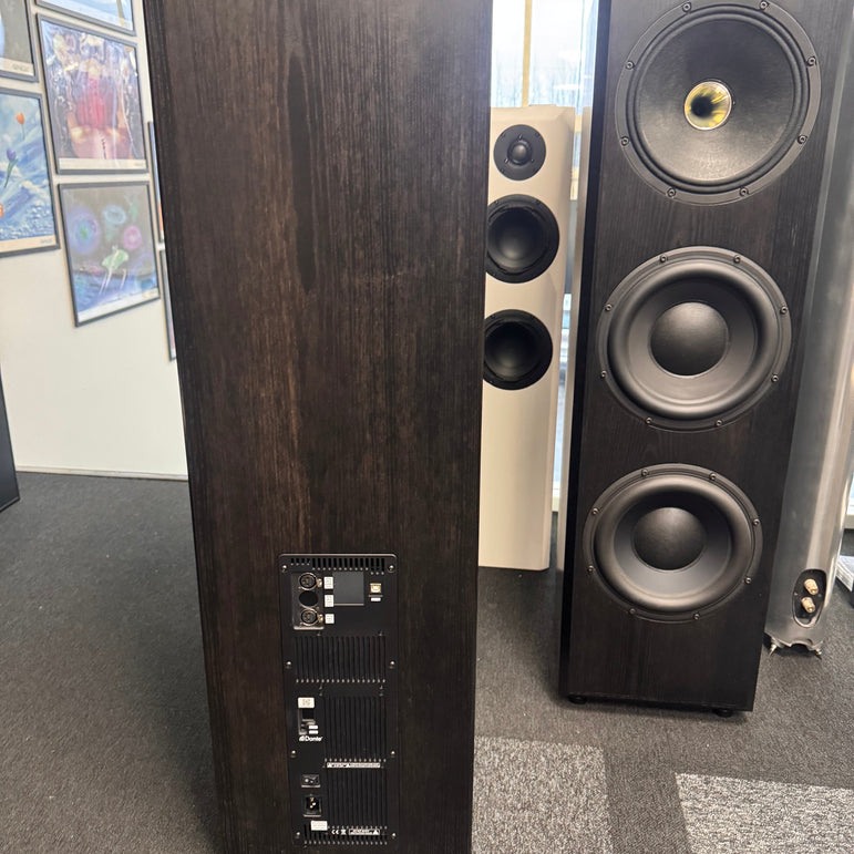 Taipuu Speakers Custom 3x10