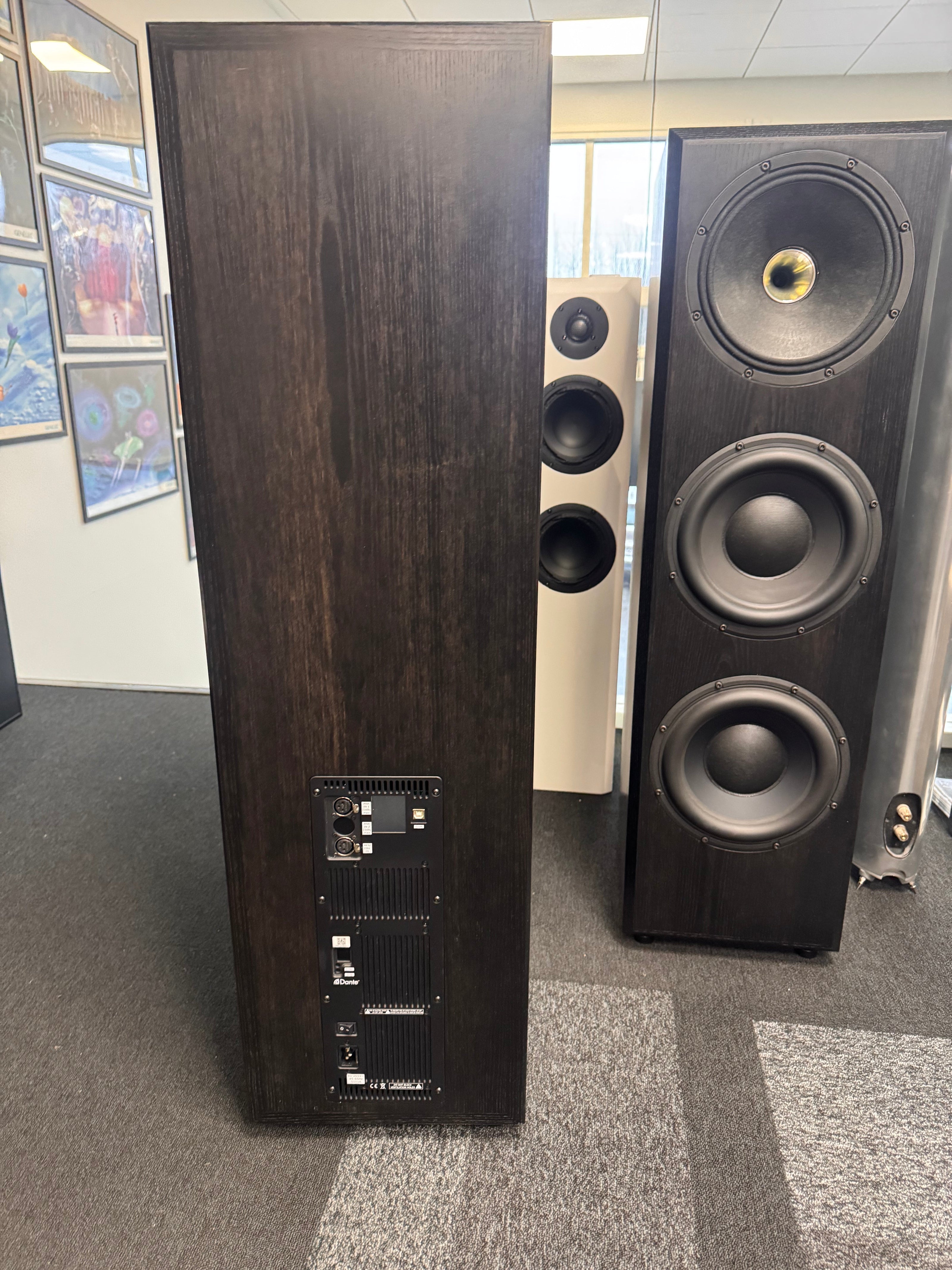 Taipuu Speakers Custom 3x10