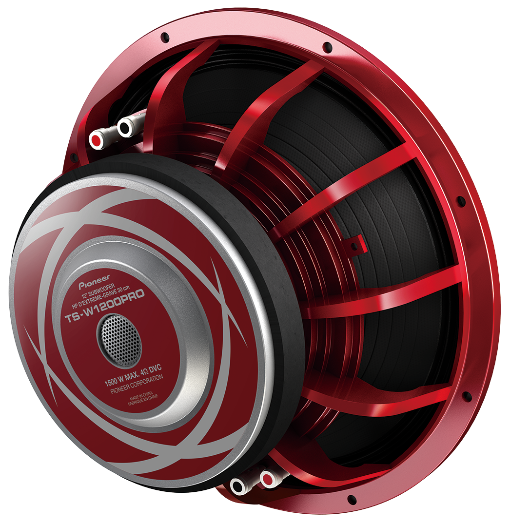 Pioneer TS-W1200PRO