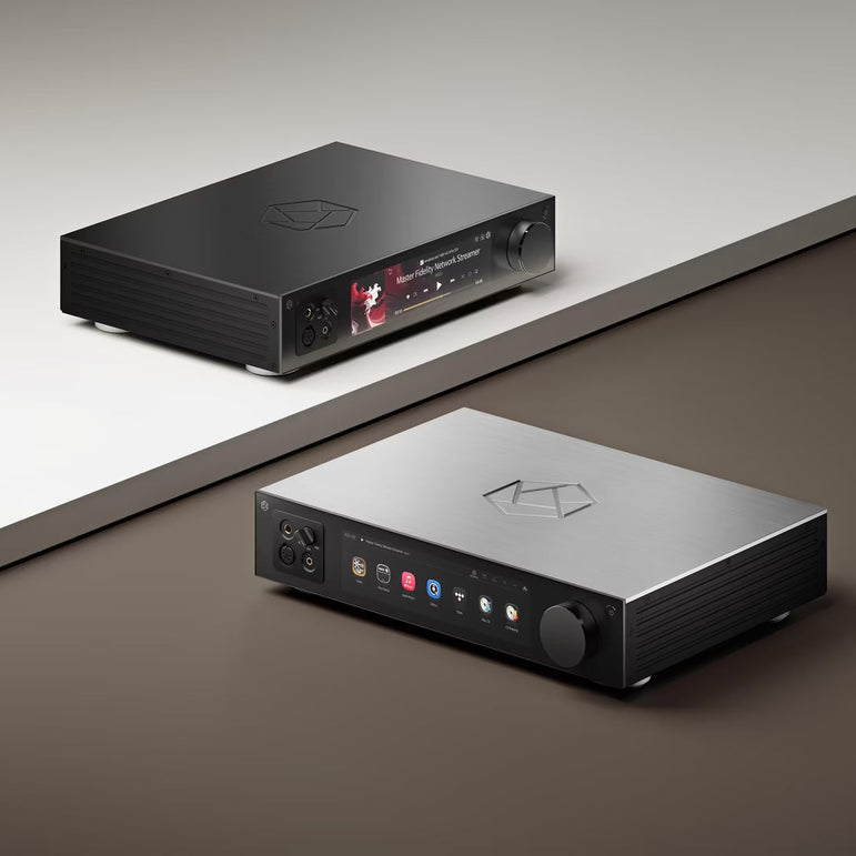 Hifi Rose RS451 verkkosoitin