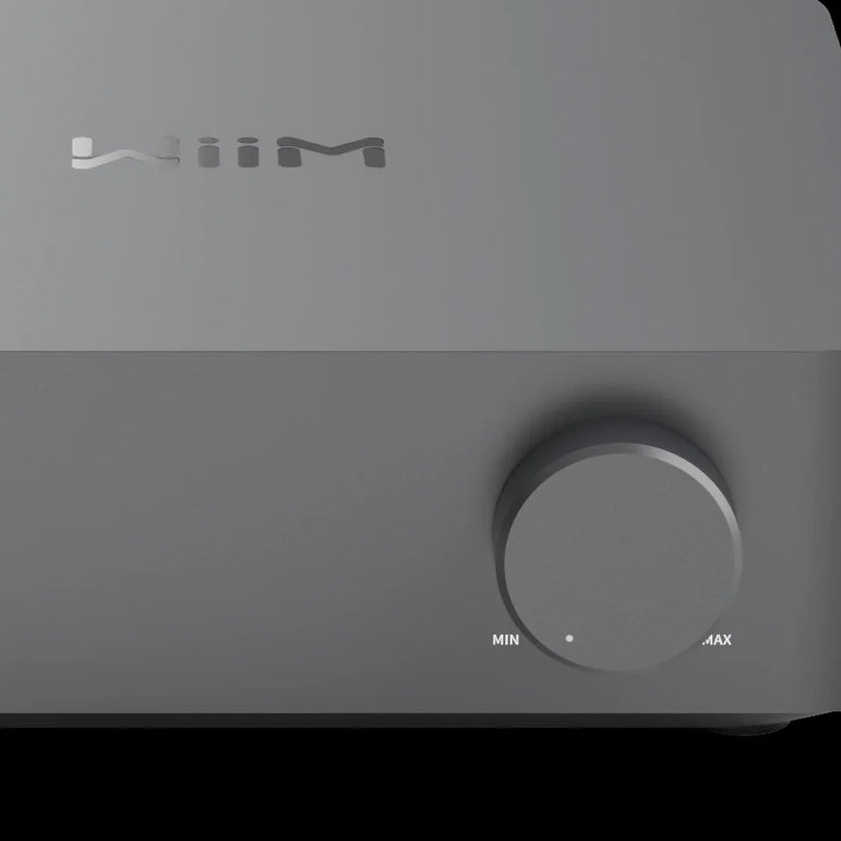 Wiim Vibelink Amp amplifier