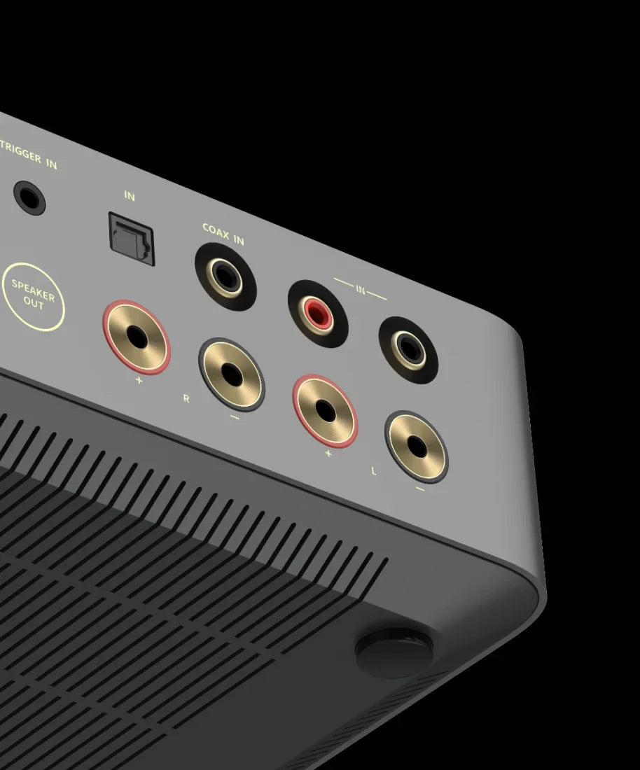 Wiim Vibelink Amp amplifier