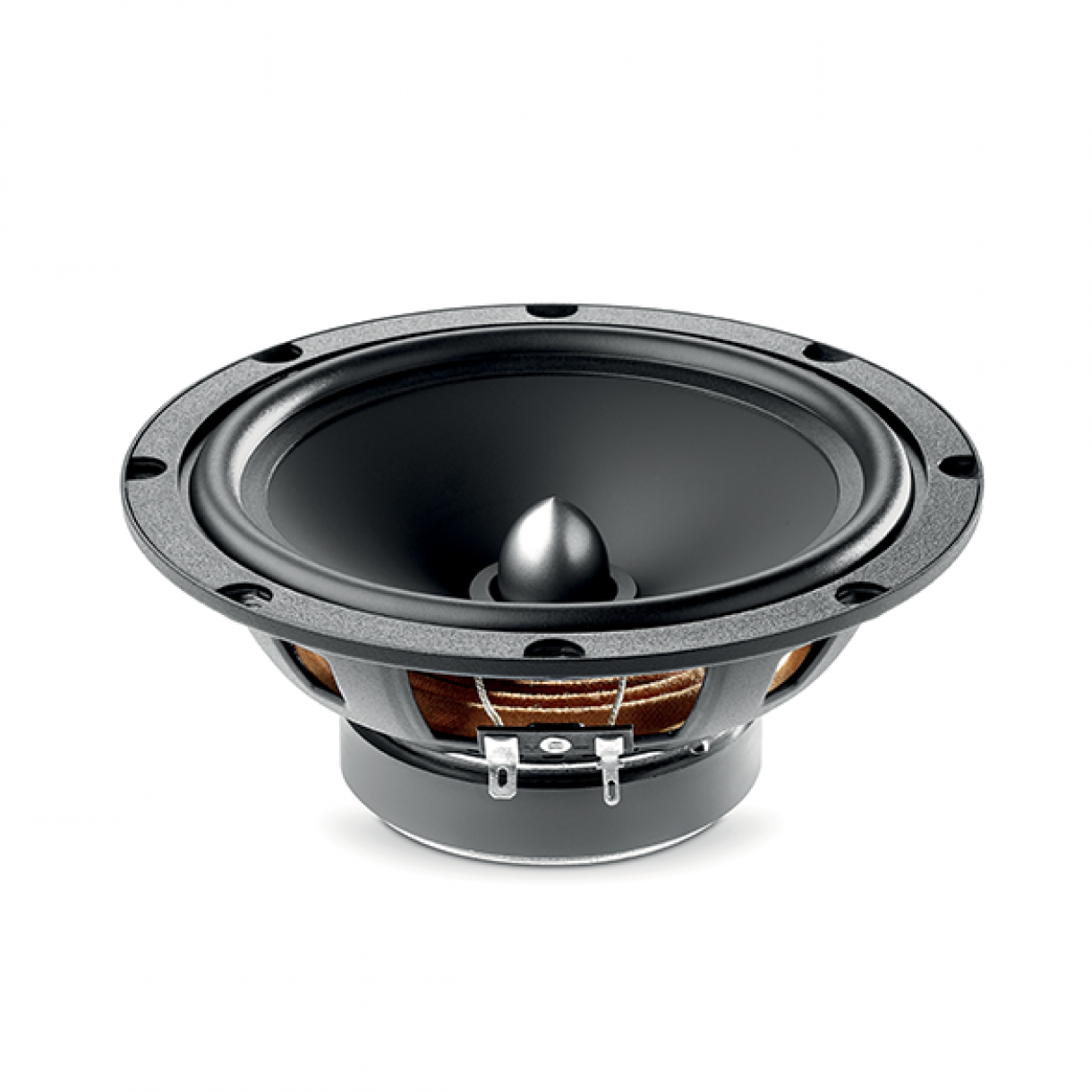 Focal ASE165 6,5
