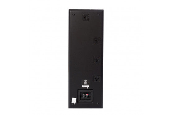 DLS Flatbox XL 2-way Wall Speaker – 2x4
