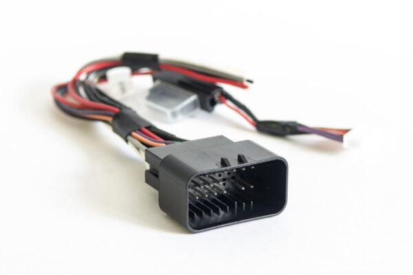 Harley Davidson 1-din installation kit.
