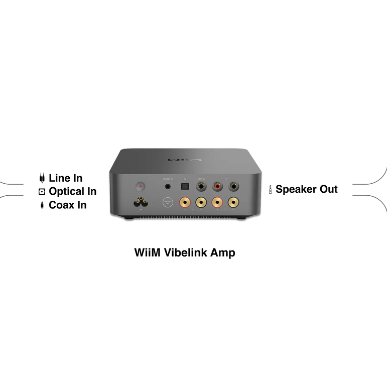 Wiim Vibelink Amp amplifier