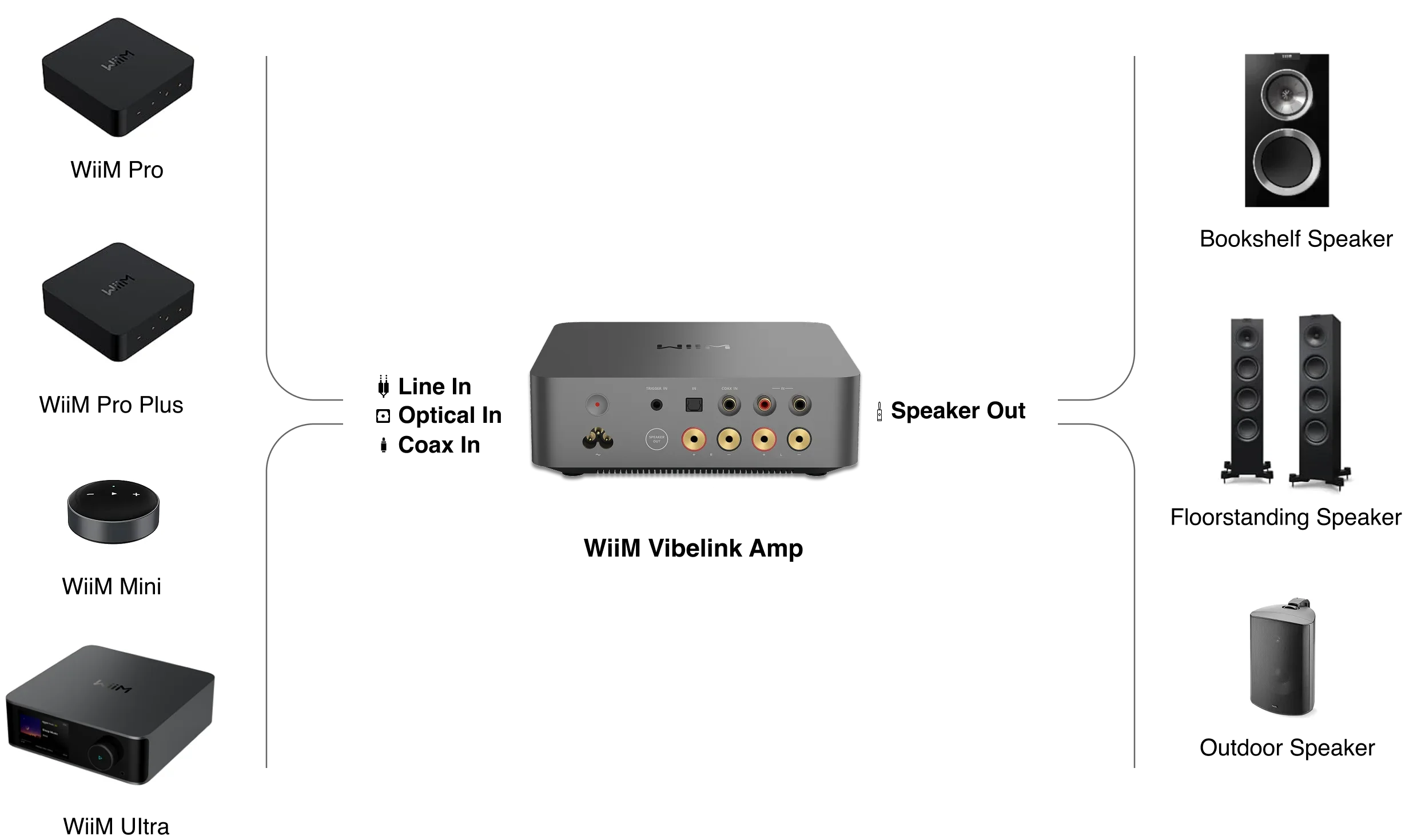 Wiim Vibelink Amp amplifier